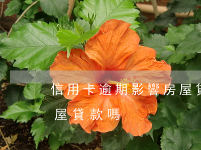 信用卡逾期影響房屋貸款(信用卡逾期影響房屋貸款嗎)