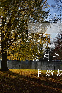 信用卡逾期影響房產(chǎn)嗎-信用卡逾期影響房產(chǎn)嗎嗎