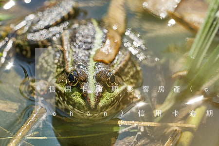 信用卡逾期影響房產(chǎn)(有房產(chǎn)信用卡逾期了有影響?)