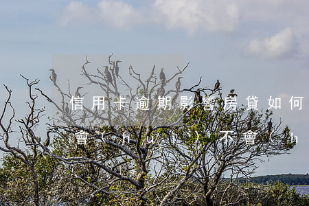 信用卡逾期影響房貸如何(有房貸信用卡逾期會(huì)不會(huì)有影響)