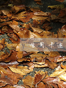 信用卡逾期影響房貸怎么解決(房貸逾期對(duì)信用卡有影響嗎)