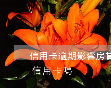信用卡逾期影響房貸車貸嗎(房貸車貸影響辦信用卡嗎)