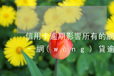 信用卡逾期影響所有的網(wǎng)貸嗎-網(wǎng)貸逾期和信用卡逾期,哪個后果更嚴(yán)重?