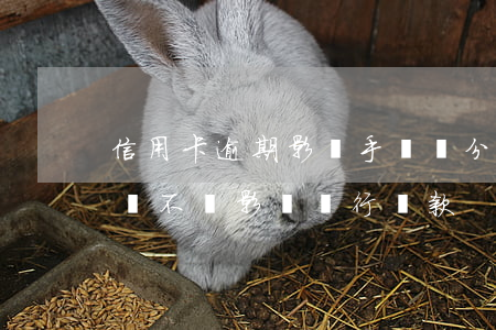 信用卡逾期影響手機辦分期嘛 手機分期逾期會不會影響銀行貸款