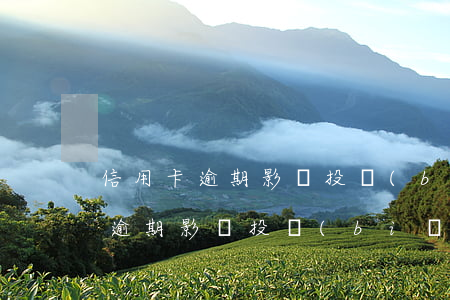 信用卡逾期影響投標(biāo)嗎 信用卡逾期影響投標(biāo)嗎嗎