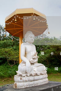 信用卡逾期影響按揭買房嗎（信用卡有逾期影響按揭）