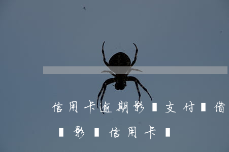 信用卡逾期影響支付寶借唄嗎 借唄花唄逾期會影響信用卡嗎