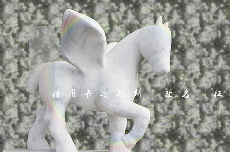 信用卡逾期影響改名嗎(征信逾期影響改名嗎)