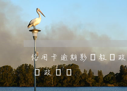 信用卡逾期影響教師政審(征信有逾期影響教師政審嗎)