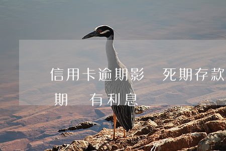信用卡逾期影響死期存款嗎(死亡后信用卡逾期還有利息嗎)