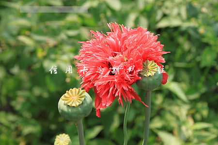 信用卡逾期影響注冊個體戶嗎