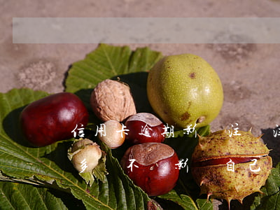 信用卡逾期影響注會注冊嗎 注冊的信用卡太多會不會影響自己