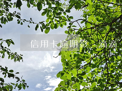信用卡逾期影響滴滴嗎(逾期會(huì)影響出行嗎?)