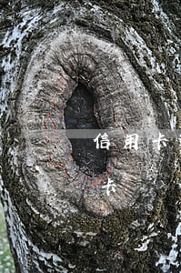 信用卡逾期影響申卡嗎(信用卡逾期影響銀行卡嗎)