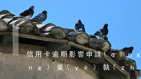 信用卡逾期影響申請(qǐng)營(yíng)業(yè)執(zhí)照嗎-信用卡逾期影響申請(qǐng)營(yíng)業(yè)執(zhí)照嗎知乎