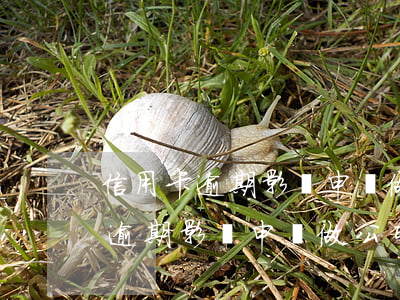 信用卡逾期影響申請做公司法人嗎-信用卡逾期影響申請做公司法人嗎知乎