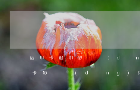 信用卡逾期影響當(dāng)兵么(有信用卡影響當(dāng)兵政審嗎)