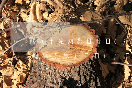 信用卡逾期影響登機(jī)嗎(我信用卡逾期能不能上飛機(jī))