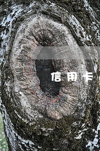信用卡逾期影響移民嗎(信用卡 逾期 后果)