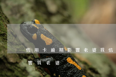 信用卡逾期影響老婆(我信用卡逾期會不會影響我老婆)