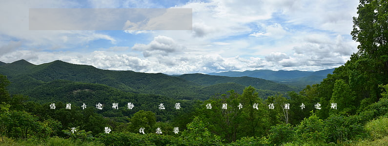 信用卡逾期影響老婆辦信用卡(我信用卡逾期會不會影響我老婆)