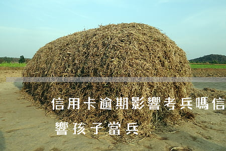 信用卡逾期影響考兵嗎(信用卡逾期會不會影響孩子當兵)