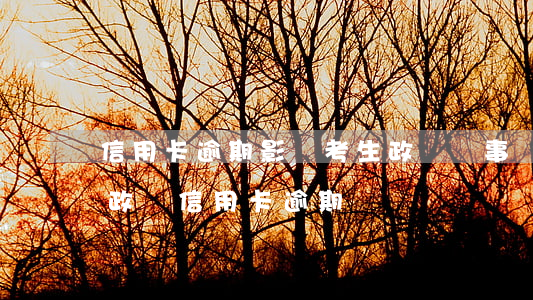 信用卡逾期影響考生政審嗎(事業(yè)編政審信用卡逾期)