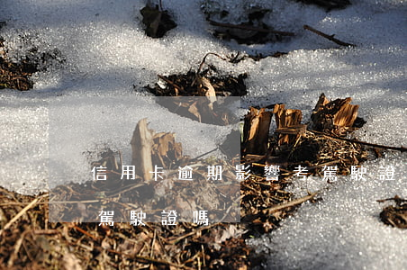 信用卡逾期影響考駕駛證嗎(欠信用卡可以考駕駛證嗎)