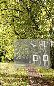 信用卡逾期影響賣房(買房子信用卡逾期有影響嗎)