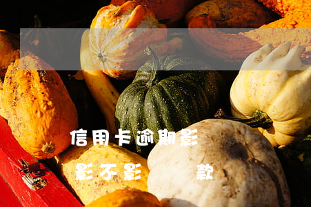 信用卡逾期影響購車廠貸(有信用卡沒有逾期影不影響貸款買車)