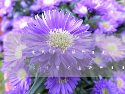 信用卡逾期影響車(chē)險(xiǎn)(信用卡逾期影響車(chē)險(xiǎn)嗎)