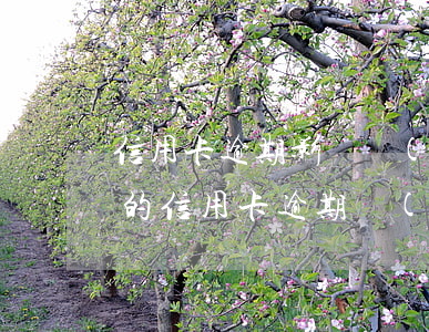 信用卡逾期影響轉(zhuǎn)正嗎(銀行的信用卡逾期會(huì)判刑嗎)