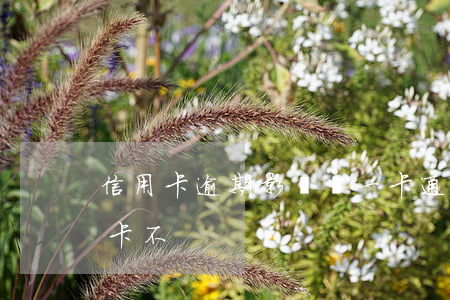 信用卡逾期影響辦一卡通嗎(有逾期能辦信用卡不)