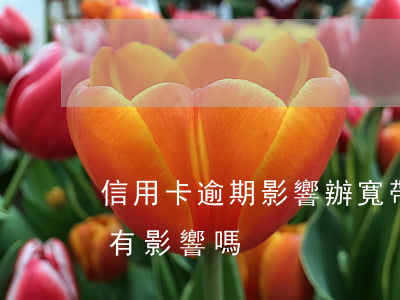 信用卡逾期影響辦寬帶嗎(信用卡逾期辦貸款有影響嗎)