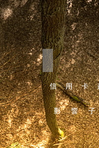 信用卡逾期影響辦戶口嗎(信用卡逾期,會不會影響子女)