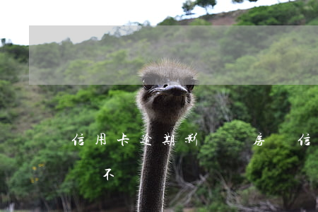 信用卡逾期影響辦房貸(信用卡逾期影響辦房貸不)