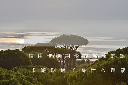 信用卡逾期影響辦新的銀行卡嗎(以前用信用卡逾期過了為什么還能辦信用卡)