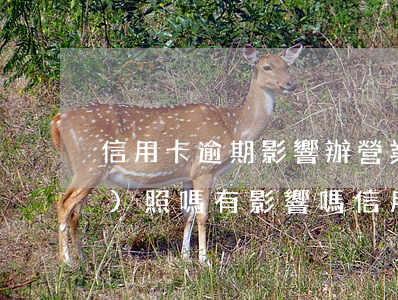 信用卡逾期影響辦營業(yè)執(zhí)照嗎有影響嗎（信用卡逾期影響辦營業(yè)執(zhí)照嗎）