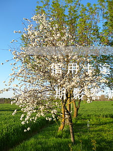 信用卡逾期影響辦理儲(chǔ)蓄卡么(逾期影響辦儲(chǔ)蓄卡嗎)