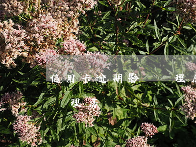 信用卡逾期影響辦理房貸嗎(信用卡逾期影響辦理房貸嗎)