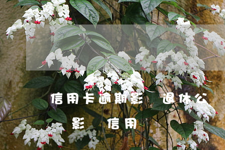 信用卡逾期影響退休公積金(公積金逾期會不會影響信用記錄)