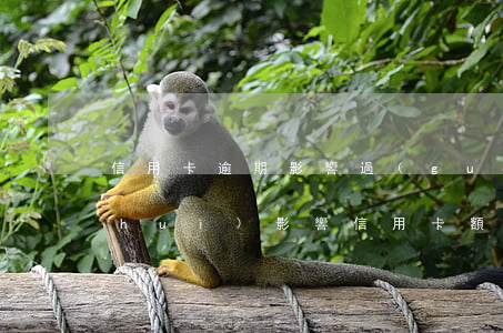 信用卡逾期影響過(guò)戶么(逾期會(huì)影響信用卡額度嗎?)