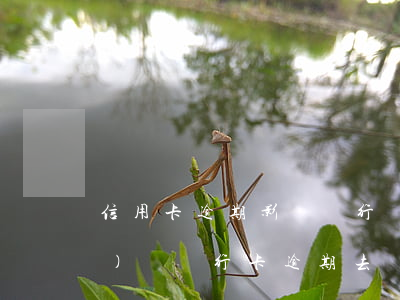 信用卡逾期影響銀行辦業(yè)務(wù)嗎(銀行卡逾期去銀行辦理業(yè)務(wù)可以嗎)