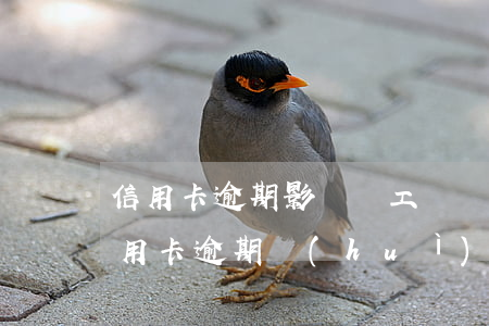 信用卡逾期影響開工戶嗎(建設(shè)信用卡逾期會(huì)上門嗎)