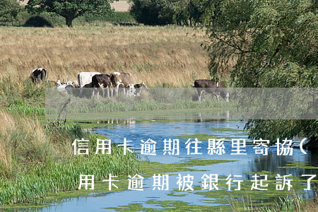 信用卡逾期往縣里寄協(xié)助函(如信用卡逾期被銀行起訴了,函件是寄到哪里)