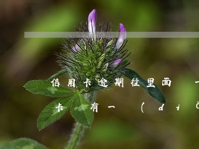 信用卡逾期往里面還一點(diǎn)(信用卡還有一點(diǎn)沒還算逾期嗎)