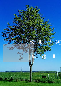 信用卡逾期征信5年消除(信用卡逾期五年了征信會消嗎)