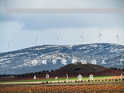 信用卡逾期征信三個(gè)月-征信報(bào)告有連續(xù)三個(gè)月逾期怎么辦