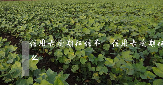 信用卡逾期征信不夠(信用卡逾期征信不夠怎么辦)