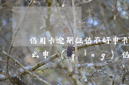 信用卡逾期征信不好申卡被拒(征信良好為什么申請(qǐng)信用卡被拒)